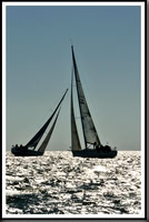 proof_2010_Vineyard_Race_2705