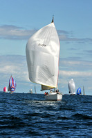 2010 IRC LIS 1523
