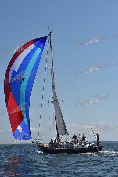 2020 Vineyard Race A_0806