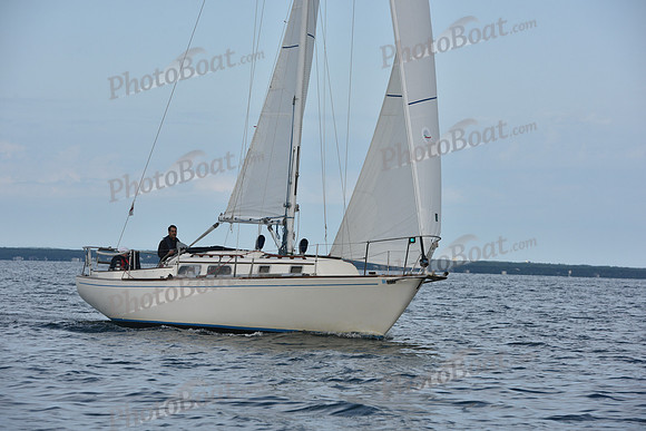 2019 Around Marthas Vineyard A_0155