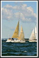 proof_2010_Vineyard_Race_1030