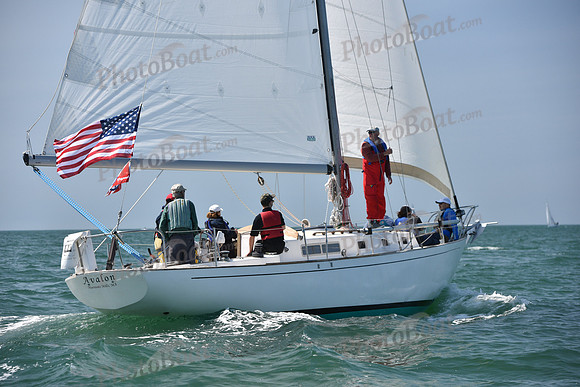 2019 Figawi_0246