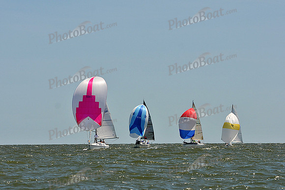 2014 Southern Bay Race Week D 631