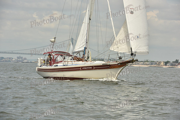 2018 ALIR_1271