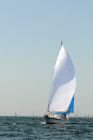 2012 Vineyard Race A 298