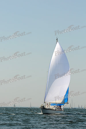 2012 Vineyard Race A 298
