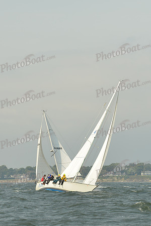 2015 Vineyard Race A 567