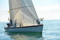 2015 Cape Charles Cup C 810