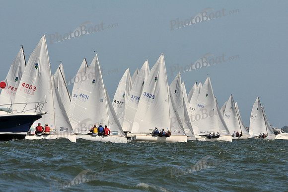 2012 Thistle Midwinters B 470