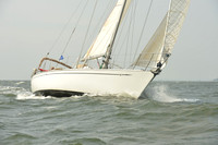 2015 Vineyard Race A 412