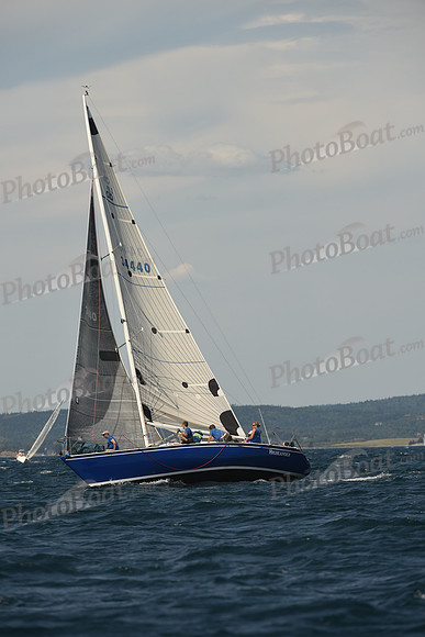 2016 Chester Race Week A_1334