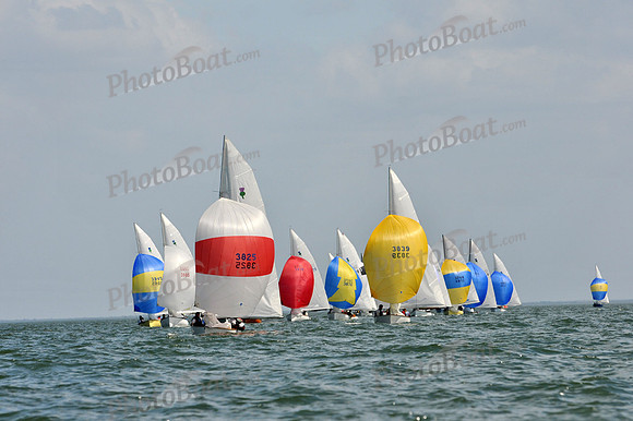 2012 Thistle Midwinters B 1380