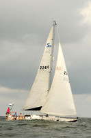 Cygnet