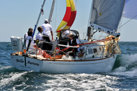 2012 Newport Bermuda 371