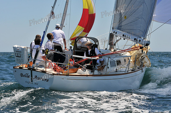 2012 Newport Bermuda 371