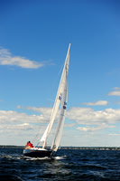 2014 Vineyard Race A 244