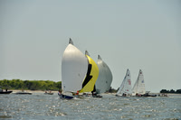 2014 Charleston Race Week D 927