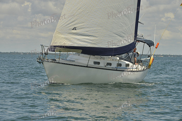2018 Regatta del Sol al Sol_0792