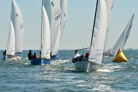 2012 Thistle Midwinters A 672