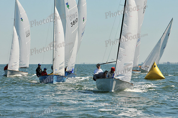 2012 Thistle Midwinters A 672