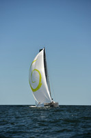 2015 Vineyard Race C 487