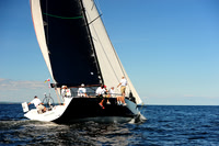 2014 Vineyard Race A 1895