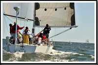 proof_2010_Vineyard_Race_1282