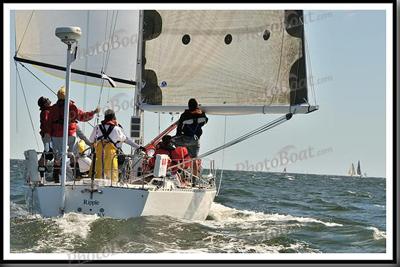 proof_2010_Vineyard_Race_1282