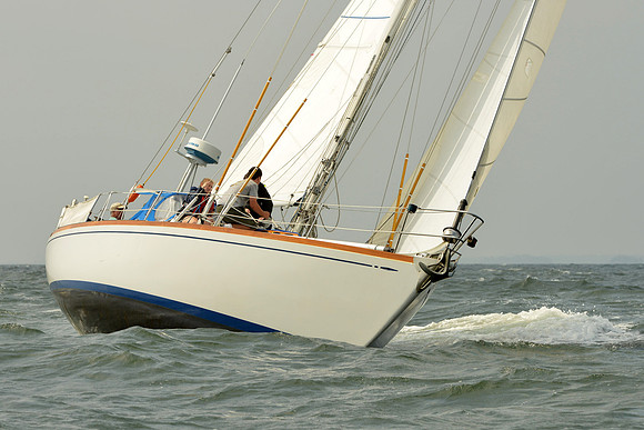 2015 Vineyard Race A 303