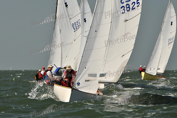 2012 Thistle Midwinters B 534