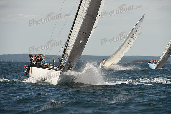 2016 Chester Race Week A_1495