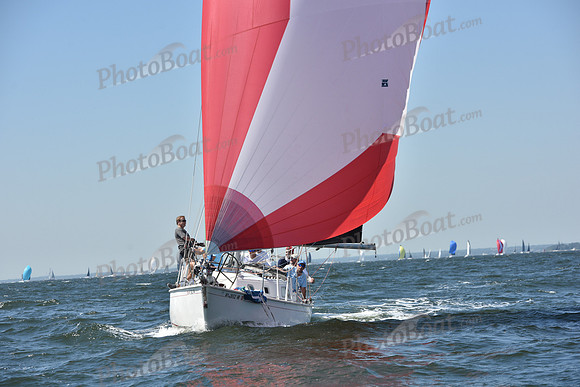 2019 Vineyard Race A_0436