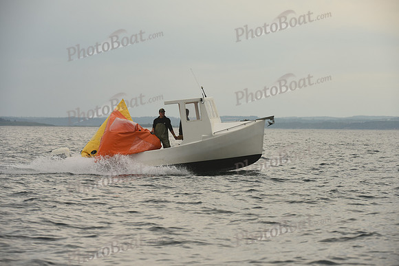 2016 Chester Race Week D_0808