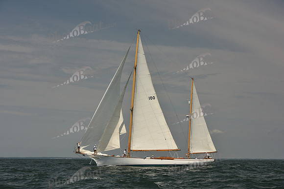 2018 Vineyard Cup A_1249