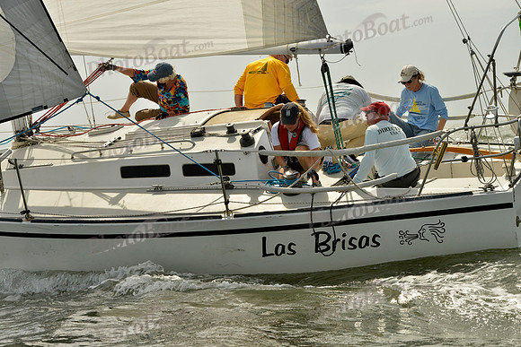2019 Charleston Race Week A_0574