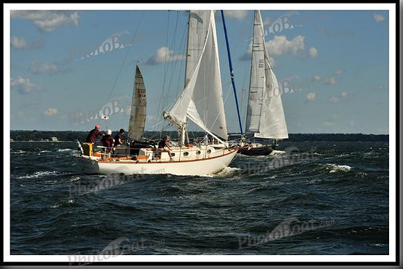 proof_2010_Vineyard_Race_0095