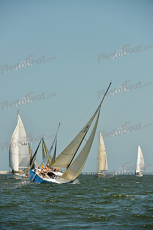 2015 Southern Bay Race Week A 1261