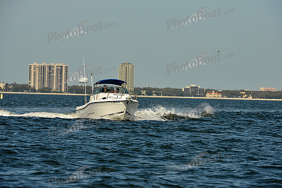 2015 J70 Winter Series E 211