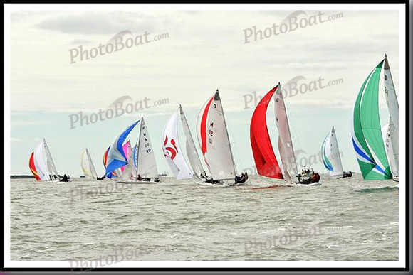 proof_2010_EScows_A 1436
