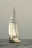 2013 Vineyard Race A 442