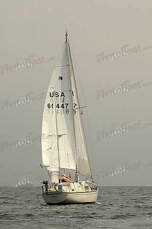 2013 Vineyard Race A 442