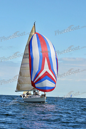 2010 IRC LIS 1613