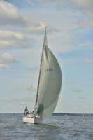 2016 Vineyard Race A_0303