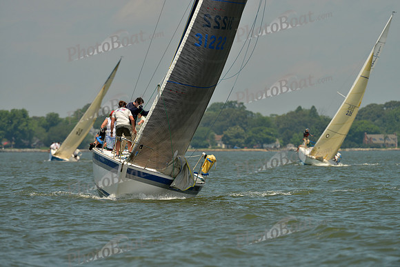 2016 Southern Bay Race Week F_0897