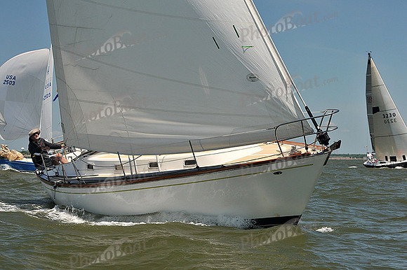 2014 Southern Bay Race Week D 595