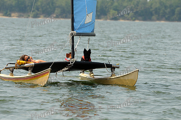 2012 Gov Cup D 279