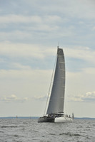 Arethusa