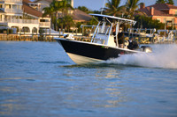 2019 Feb 10 Tampa Bay B_1515