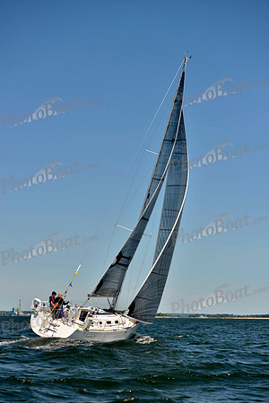 2017 Vineyard Race A_0696