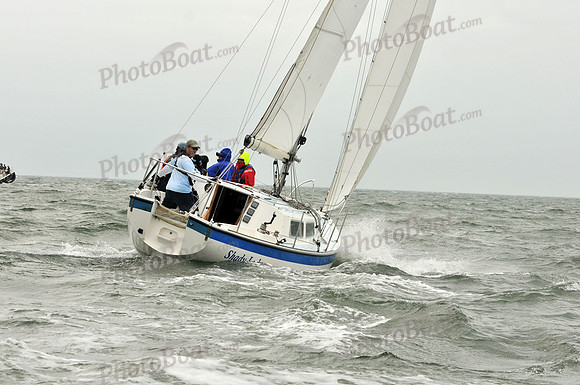 2012 StPete NOOD C 439
